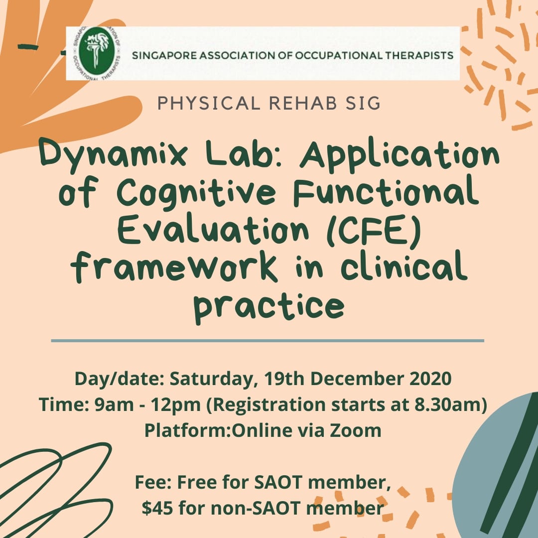 Physical Rehab SIG Dynamix Lab: Application Of Cognitive Functional Evaluation (CFE) Framework In Clinical Practice